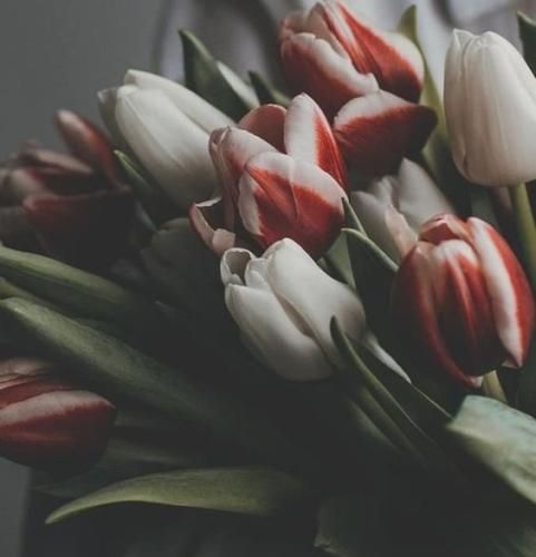 اهنگ من سرزمینم هر کجا باشه چشمای تو زیباترین جاشه موندیم و از مردن