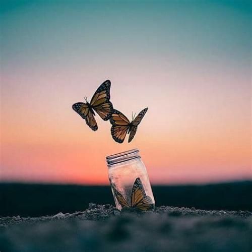 اهنگ عشقم من و تو دو نفری همه رو حریفیم دلمو زدی به نامت بدجور