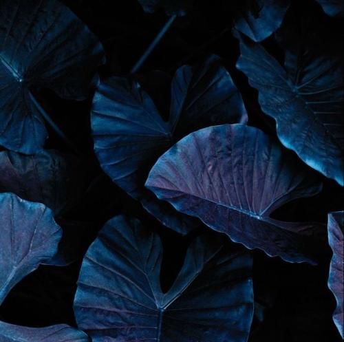 اهنگ بیا بی خیال همه شیم گلم من که کنارتم حالا توام بذار رو شونه ی من سرتو سرتو