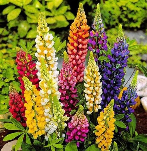 اهنگ نرفتم جنگ اما همیشه موجی شبیه من کم شبیه تو چی