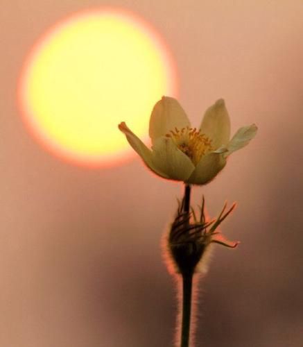 اهنگ وقتی تنهایی دارم از تو خیابون میگذرم اونی که دنیاش بودم رفت