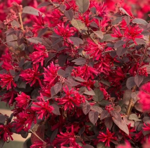 اهنگ کاشکی چشمای قشنگ تو شبیه همه بودن نپرس از حال داغونم