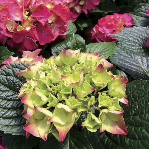 اهنگ دنبالت دنیارو من گشتم رفته ی بی برگشتم نشونتو از کی بگیرم