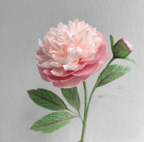 اهنگ من اون همه گل گرفتنام از عشق تو گر گرفتنام همه ی اون دیوونه بازیام