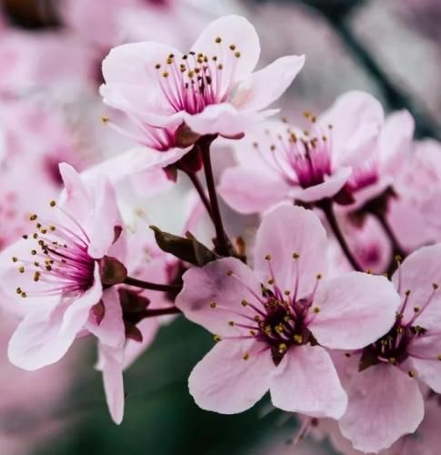 اهنگ میسوزونه دلمو آتیش عشقت آخ که آغوشت بهشته روزگار قشنگ ترین