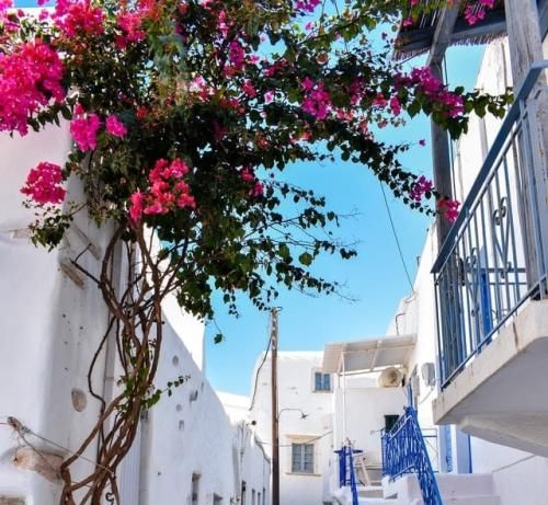 اهنگ گفت از دل بگو به دل میشینه دل بده حال میده رفاقت با ما