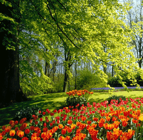 اهنگ موهات چه خوشگله چه فرفری چه لختش تا میشینی پیش من 