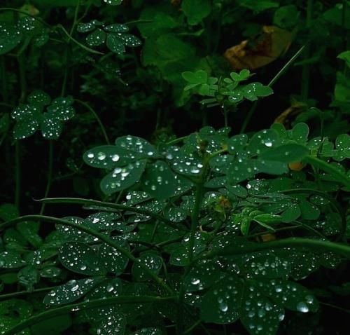 اهنگ ولی برگردی بهتره الان که قلبم بی حس تره میزم دیوار مهم نی چی بشکنه