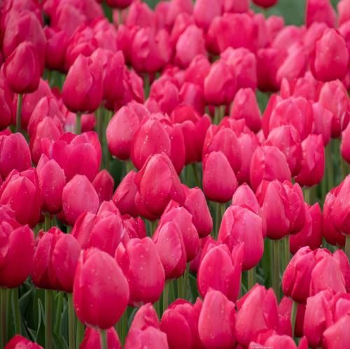 اهنگ تمومش کن دیگه خسته شدیم ما باختیم و تازه برنده شدیم