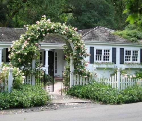 اهنگ تو پیشم میای بازم ولی حالت که خوب نیست حستو از چشت خوندم