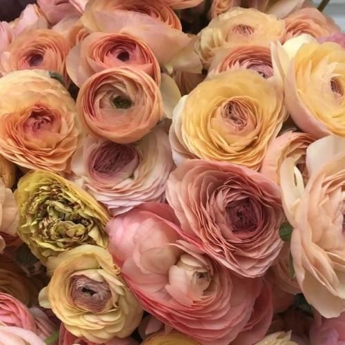 اهنگ ایی بغضمه یادگاره یاد نیچو چو خماره وقتی نیدن یه ساله بی تو