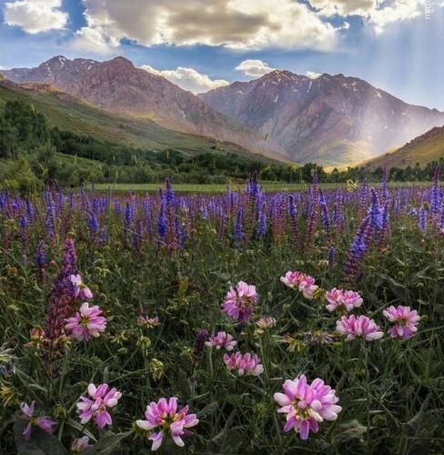 اهنگ مامان کلی شرمندم دست بوستم دربست دستم اگه خم بشه کنجه لبت