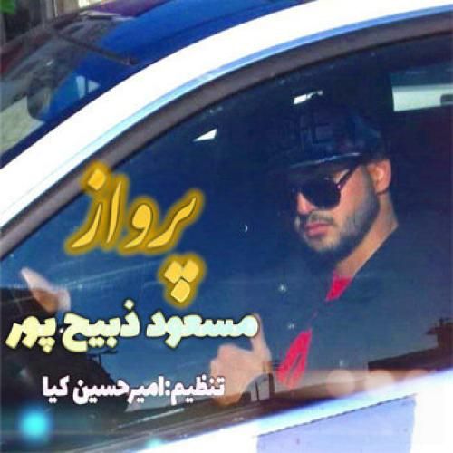 مسعود ذبیح پور پرواز