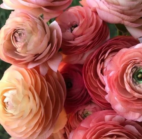 اهنگ دلتنگیمو نمیتونه هیچی بکنه برطرف حالمو نکن بدتر دیگه حداقل بدجوری دپمو