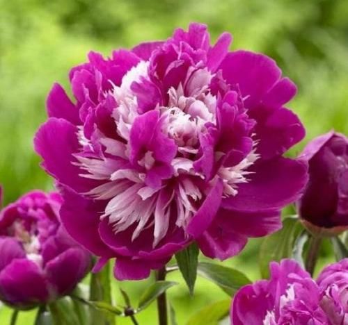 دانلود آهنگ یه روز میای بالا سر قبرم میگی چرا الان ولی دیگه رفتم دانلود آهنگ یه روز میای بالا سر قبرم میگی چرا الان ولی دیگه رفتم