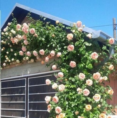 اهنگ بمون کنارم عشق هواتو دارم عشق یه شهرو میزنی بهم