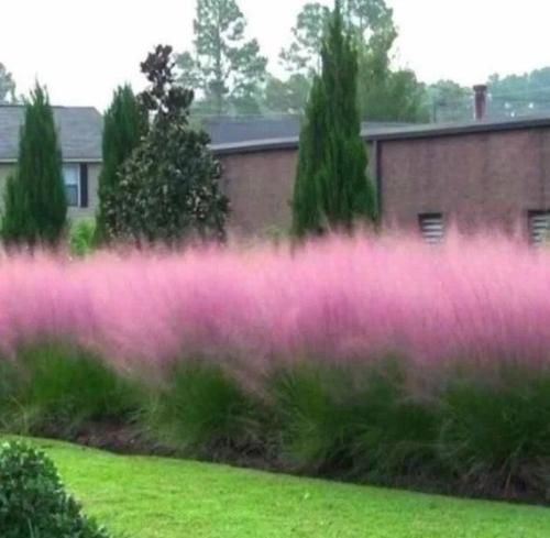 اهنگ خودم میدونم این حرفا روی تو اصلا نداره تاثیری خودم همه اینارو میدونم