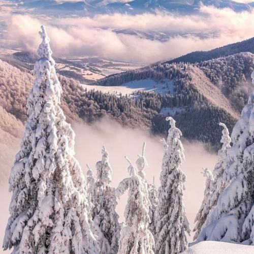 با لمس عشق توی مرز ممنوعه