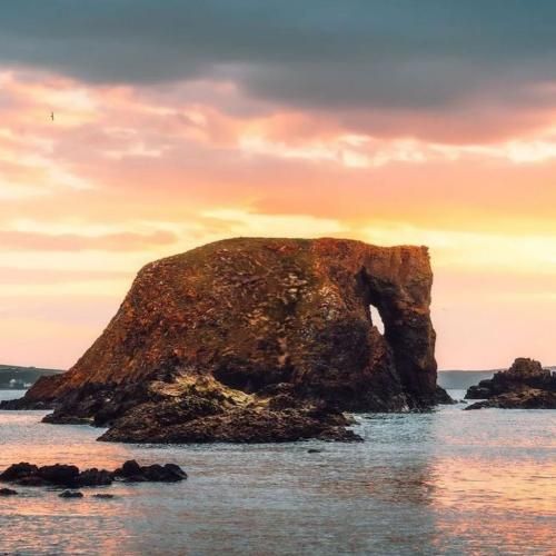  تو سلیقه منی مگه میشه بد باشی نگو چشم بگو نقاشی