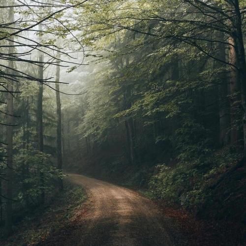 پدرم تاج سرم اینستایی