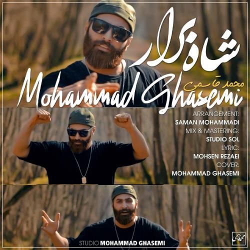 محمد قاسمی شاه برار