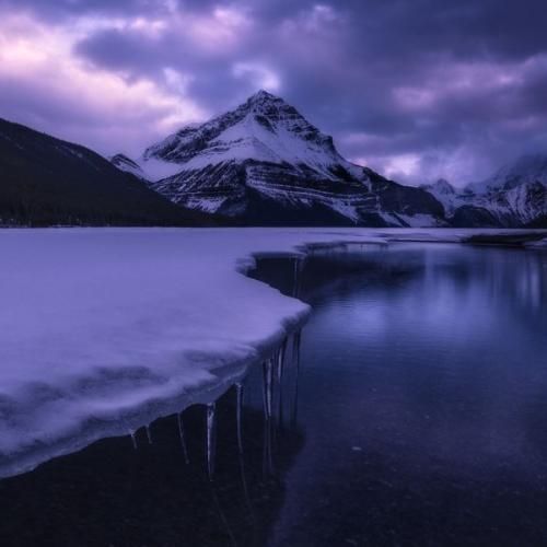 شب میشه دل من تنگ میشه که یه کم