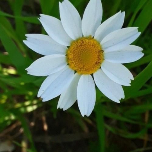  شاید اصلا چشاتو باز ببندی خوشگلم تو حتی واسم شیرینه دروغات