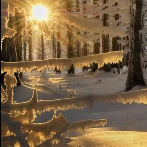 من نمیخوام که از دست بری تو از قصد بری