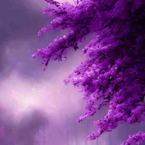 نازتو میخرم تمام میشه مگه این آدما بنظر نیان