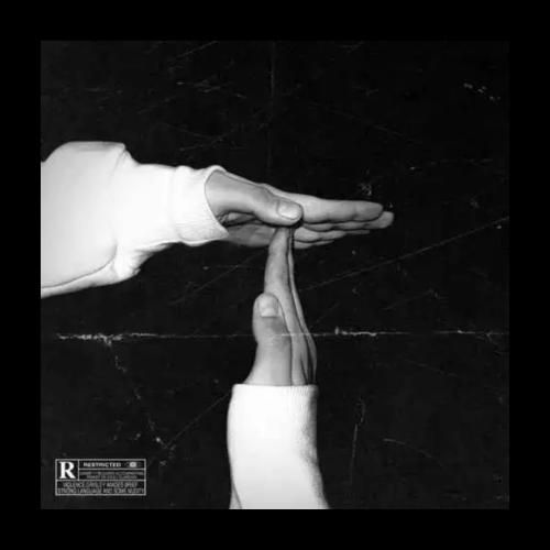 امین تیجی پو پو