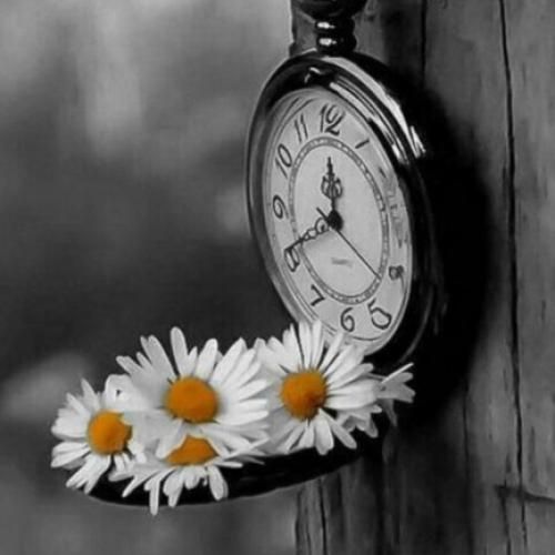  توی قلب کوچیکم جاتو محکم میکنم تا به تو اضافه شه با صدای عقیلی