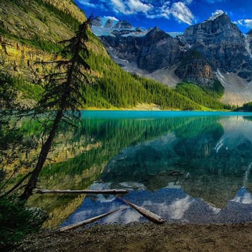 محلی تو بناز به دختر مو به لاستیک