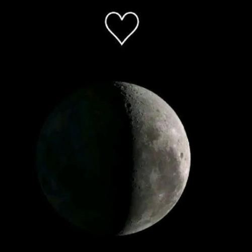   با منی که صلاحی مقابلت ندارم نجنگ پاره ی تنم