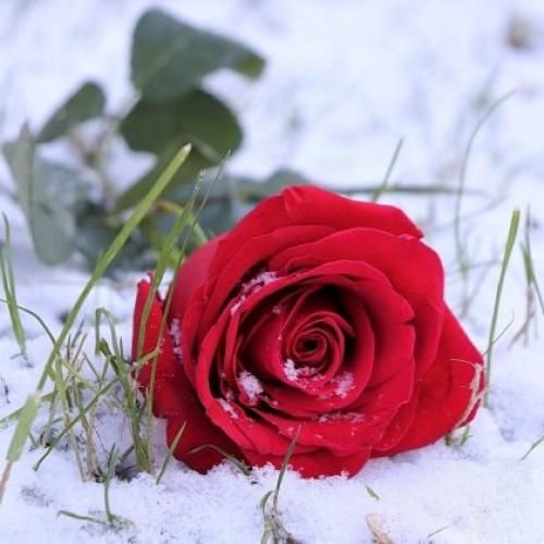 تو خوب همیشه من بدم ببین چندبار بدون تو رگ زدم
