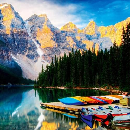 بلوط بلوط تیر تو پلوت همه رفتیم