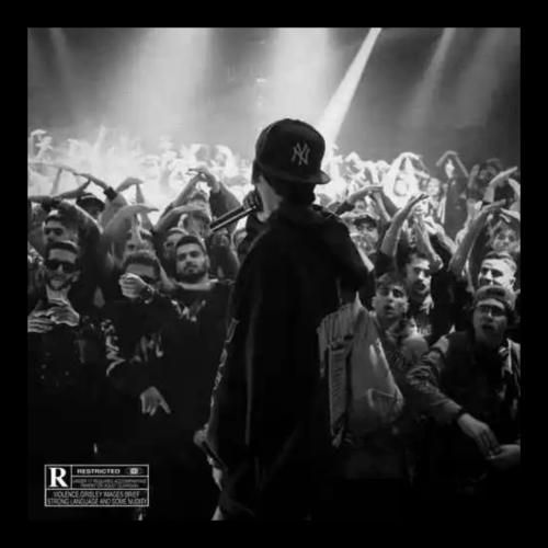 امین تیجی هاست