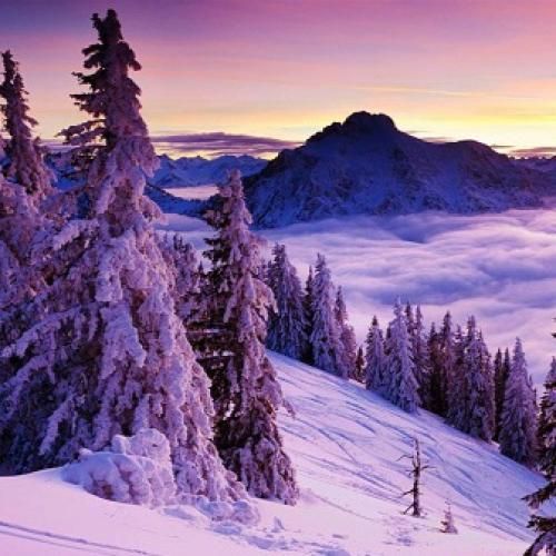  ولی نتونست عوض کنه این حسو