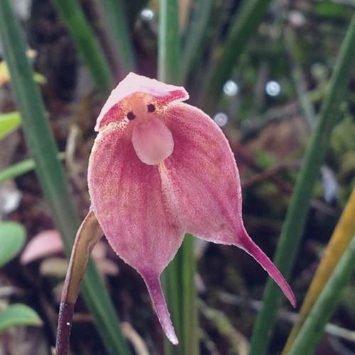 عیب نداره شد تجربه آدم سرد سخت پرتوه با صدای دختر اینستایی