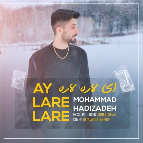 محمد هادی زاده ای لاره لاره