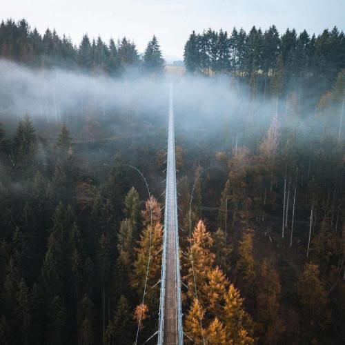 تی ام بکس و تاک داون Perreo