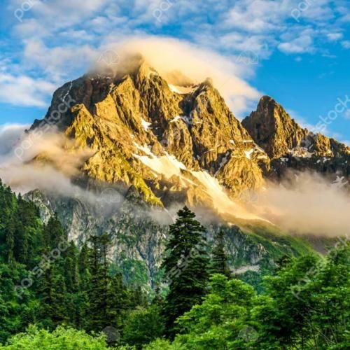 تولده جیغ 21 میمونه نمیشه پیر