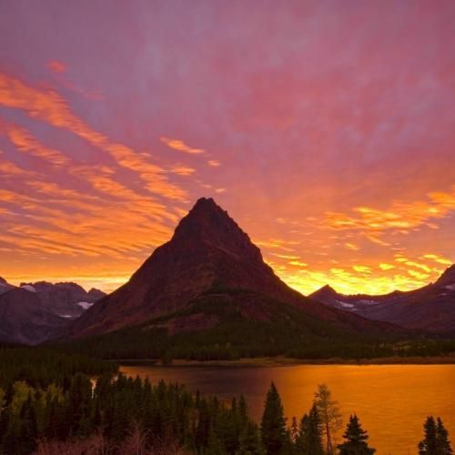 دلخوشیم تویی میون این همه دل مردگی