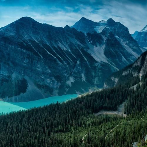 زندم چون معتاده مولکولام به عشق