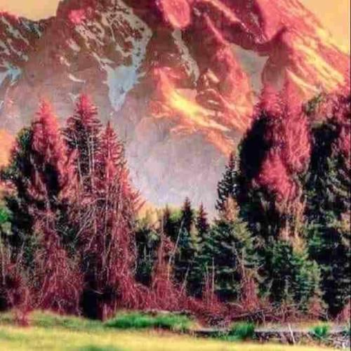  میزاریم رو سرمون قمار میکنیم رو بودنمون