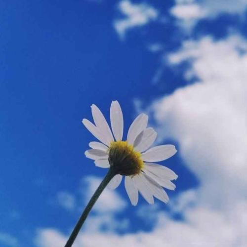 میدونی چرا رپ تهران دیگه خوابیده چون چند سال رپ فارسی