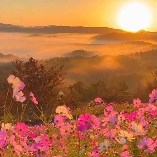  تا وقتی باشی نمیدم جاتو بهم میده لذت تجربه باتو