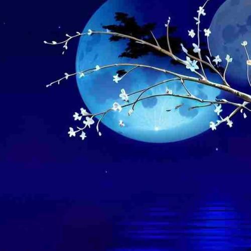  میام باهات توی دانست رحم نداره که دانست