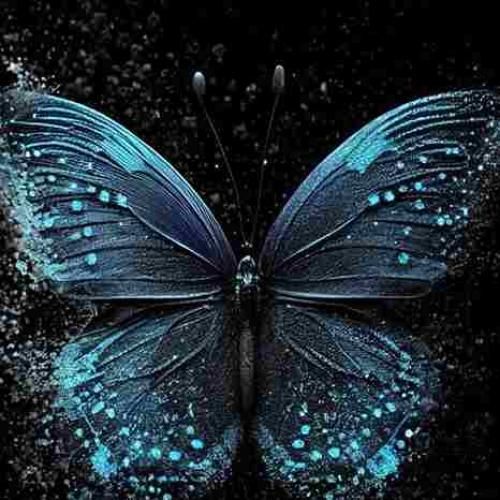  اغنیة ضبي صدرج طالع نصو مطلوبة