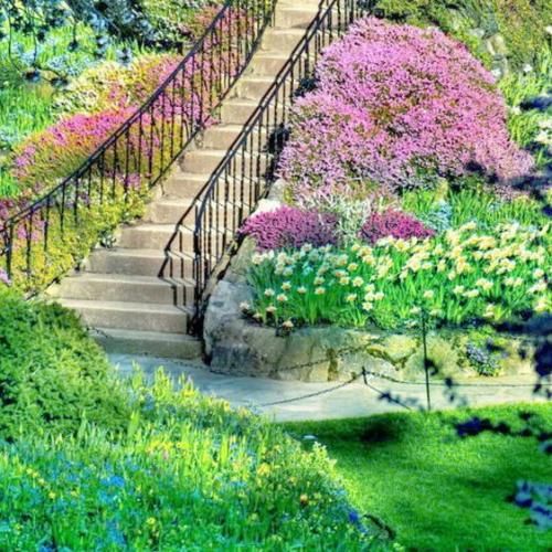  نمیدونم شدم دیوونه چیت آخرشم میکنی یه رو بهم چی