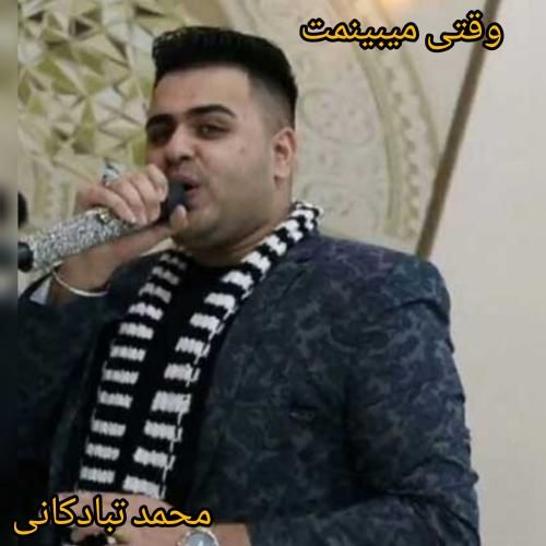محمد تبادکانی وقتی میبینمت
